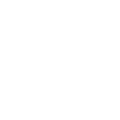 ARM architecture